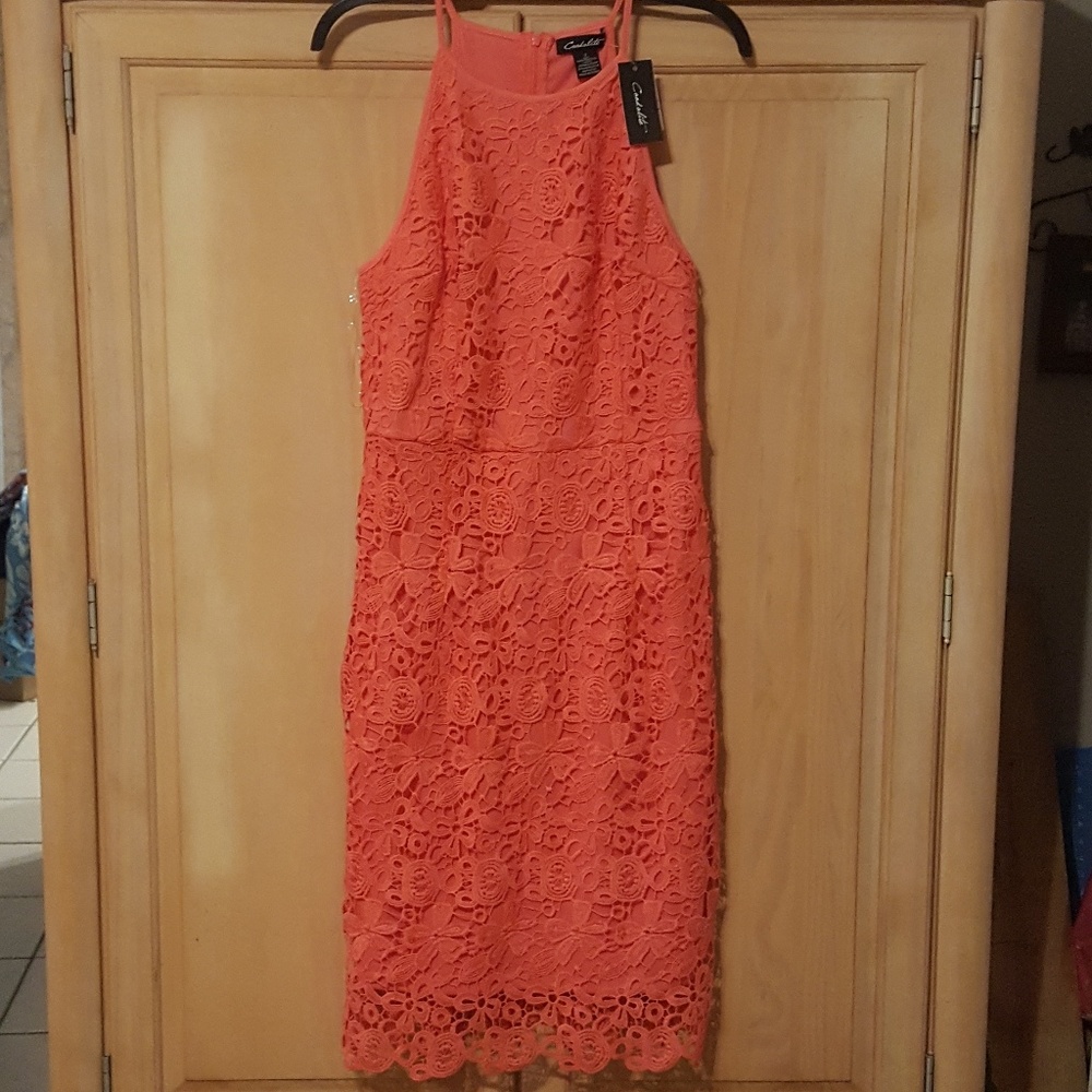 🥨Candalite Cocktail Dress in Coral, Large